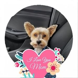 Meet your Posher, Heidi